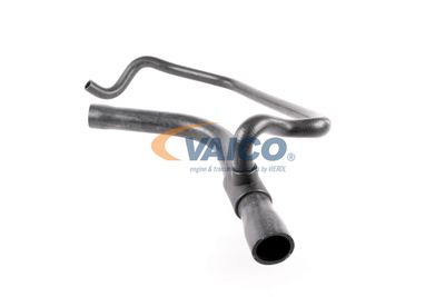 KüHLERSCHLAUCH VAICO V203330 19
