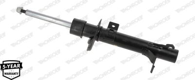 Shock Absorber G7767