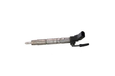 INJECTOR REMANTE 002003001370R 16