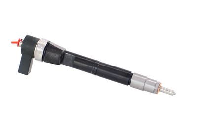 INJECTOR REMANTE 002003001108R 43