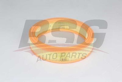 Воздушный фильтр BSG BSG 25-135-010 для ZASTAVA 10