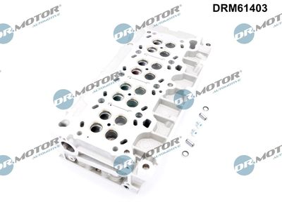 CHIULASA Dr.Motor Automotive DRM61403 2