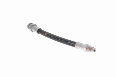 FURTUN FRANA VAICO V220929 7