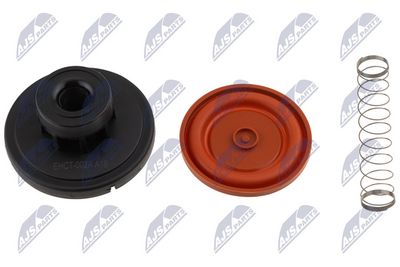 MEMBRANA AERISIRE CARCASA ARBORE COTIT