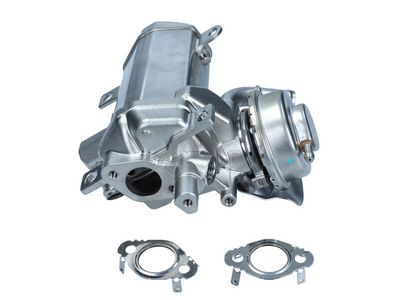 MODUL-EGR MAXGEAR 274137 2