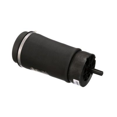 LUFTFEDER FAHRWERK Arnott A2831 42