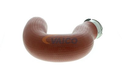 LADELUFTSCHLAUCH VAICO V302727 36