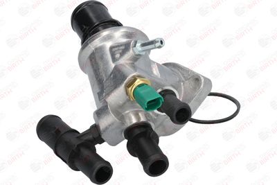 FLANSA LICHID RACIRE BIRTH 80007 4