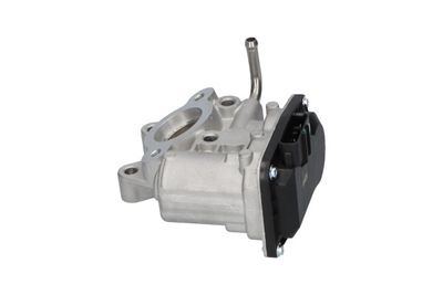 SUPAPA EGR Kavo Parts EEG8003 1