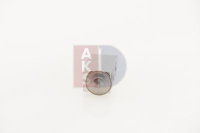 EXPANSIONSVENTIL KLIMAANLAGE AKS DASIS 840127N 3
