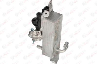RADIATOR ULEI ULEI MOTOR BIRTH 80812 5