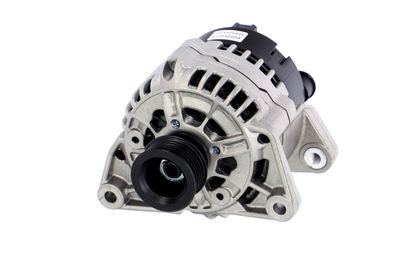 GENERATOR / ALTERNATOR REMANTE 011003000110R 61