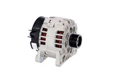 GENERATOR / ALTERNATOR REMANTE 011003000221R 49
