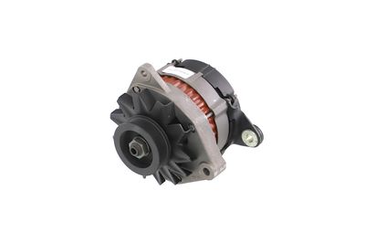 GENERATOR / ALTERNATOR REMANTE 011003000080R 8