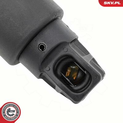 Elektromotor, zadní dveře ESEN SKV 52SKV977