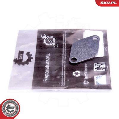 Remonto komplektas, AGR vožtuvas