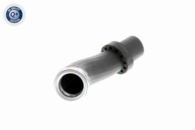 FURTUN EAR SUPRAALIMENTARE VAICO V201619 8