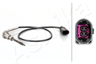 ASHIKA Sensor, Abgastemperatur
