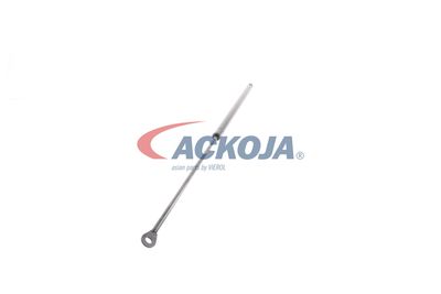 AMORTIZOR PORTBAGAJ ACKOJA A520065 28