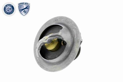 TERMOSTAT LICHID RACIRE VEMO V95990010 5
