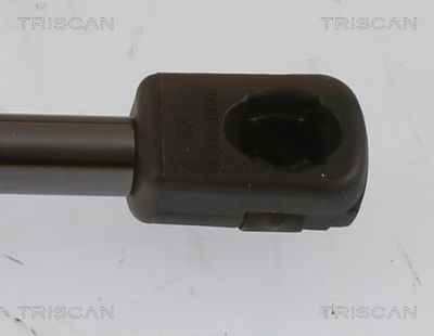 Amortizor portbagaj TRISCAN 8710 43251