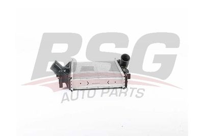 BSG BSG 60-535-014 Інтеркулер 