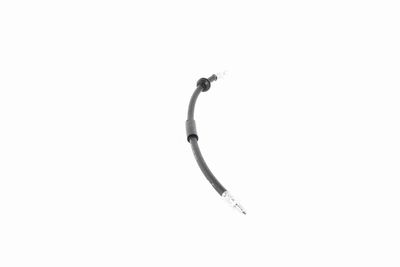 FURTUN FRANA VAICO V201908 7