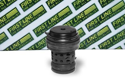 окачване, двигател FIRST LINE FEM3114