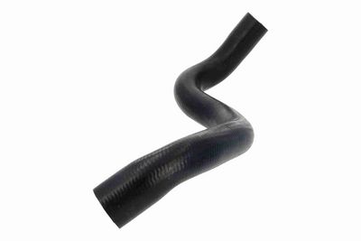 KüHLERSCHLAUCH VAICO V461979 5