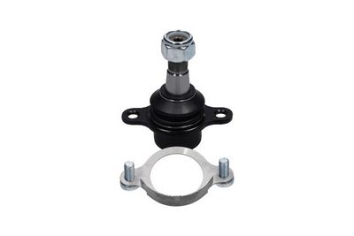 Kavo Parts Šarnyras / girgždukas