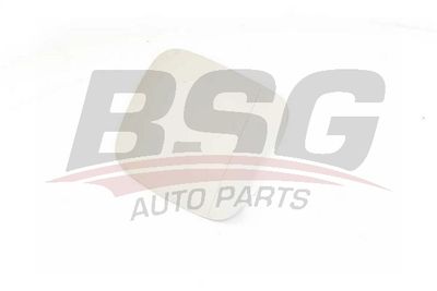 BSG BSG 90-910-022 Наружное зеркало  для VW TOUAREG (7LA, 7L6, 7L7) 3.6 V6 FSI