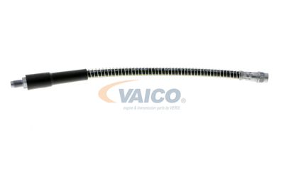 FURTUN FRANA VAICO V464113 58