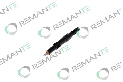 INJECTOR REMANTE 002003000113R 5