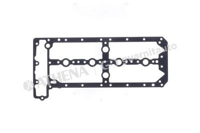 GARNITURA CAPAC SUPAPE