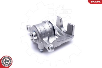 Brake Caliper 56SKV021