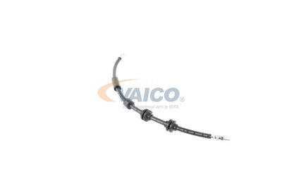 FURTUN FRANA VAICO V202640 34