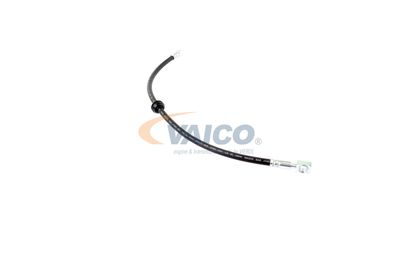 FURTUN FRANA VAICO V201909 44