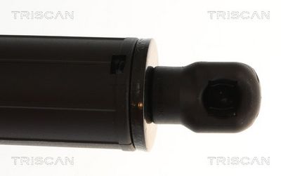 AMORTIZOR LUNETA TRISCAN 871043233 2