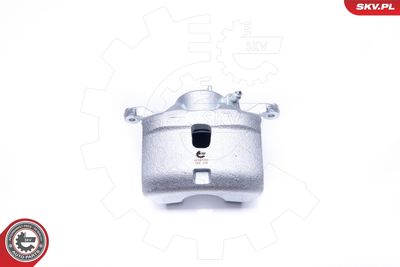 Brake Caliper 42SKV202