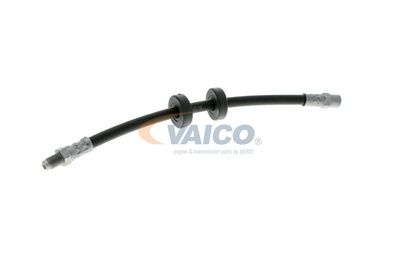 FURTUN FRANA VAICO V101043 55