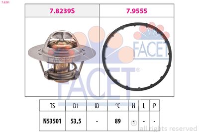 термостат, охладителна течност FACET