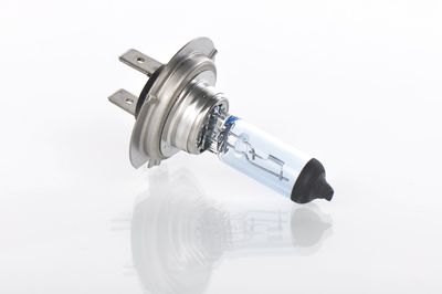 GLüHLAMPE FERNSCHEINWERFER BOSCH 1987301013 22