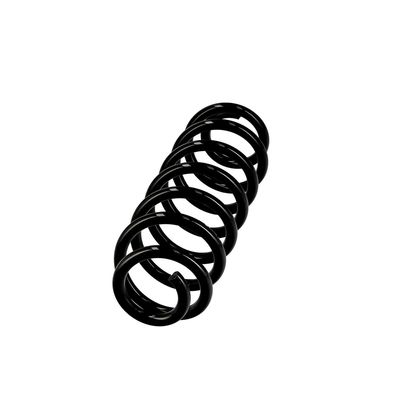 ARC SPIRAL EIBACH R10148 2