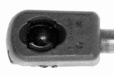 GASFEDER KOFFER-/LADERAUM VAICO V240190 1