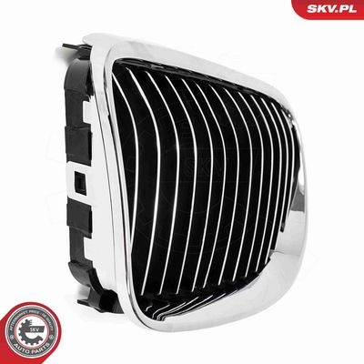 GRILA RADIATOR ESEN SKV 66SKV114 6