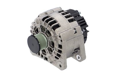 GENERATOR / ALTERNATOR REMANTE 011003000384R 6