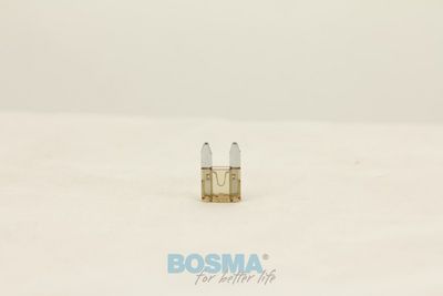 Kaitse BOSMA 1990