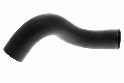 FURTUN EAR SUPRAALIMENTARE