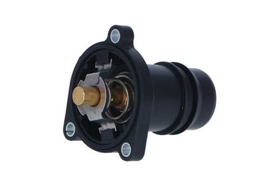 TERMOSTAT LICHID RACIRE NRF 725024 12