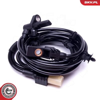 Article Picture